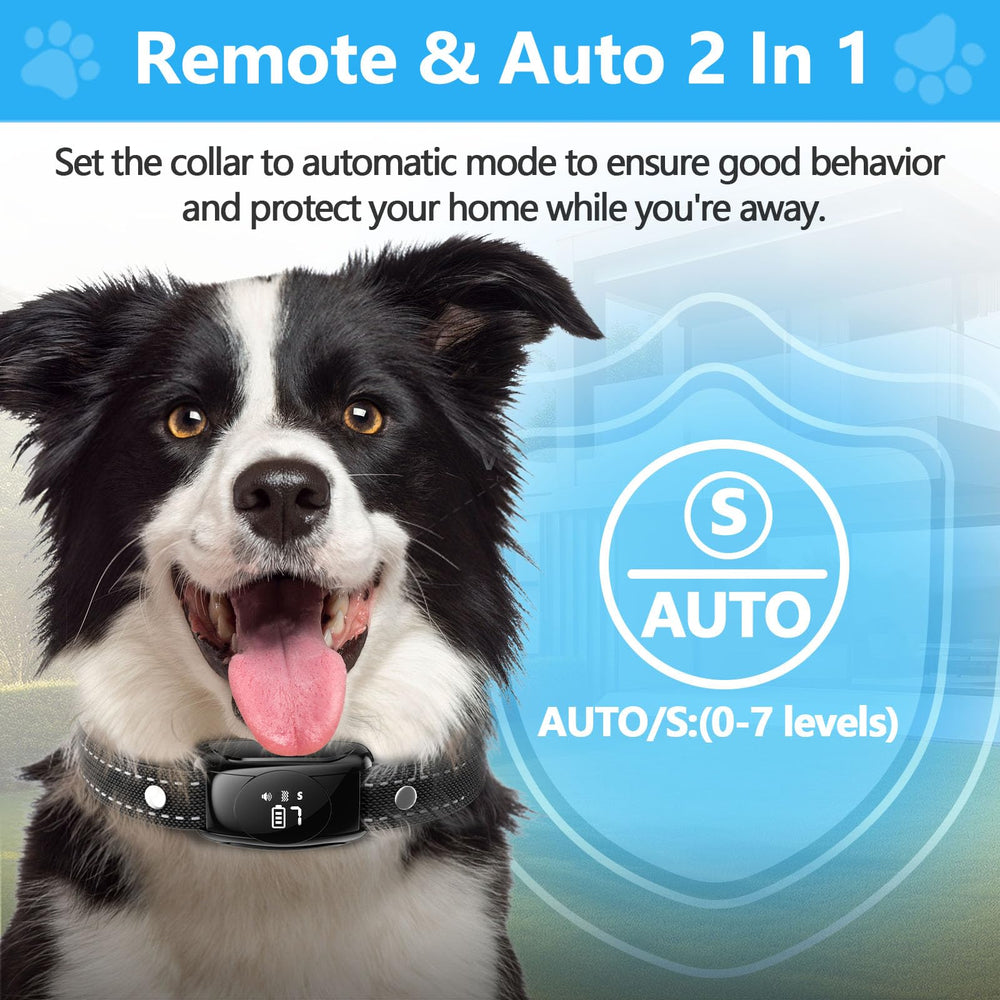 ALKD control remoto con alcance de hasta 165 pies para adiestramiento