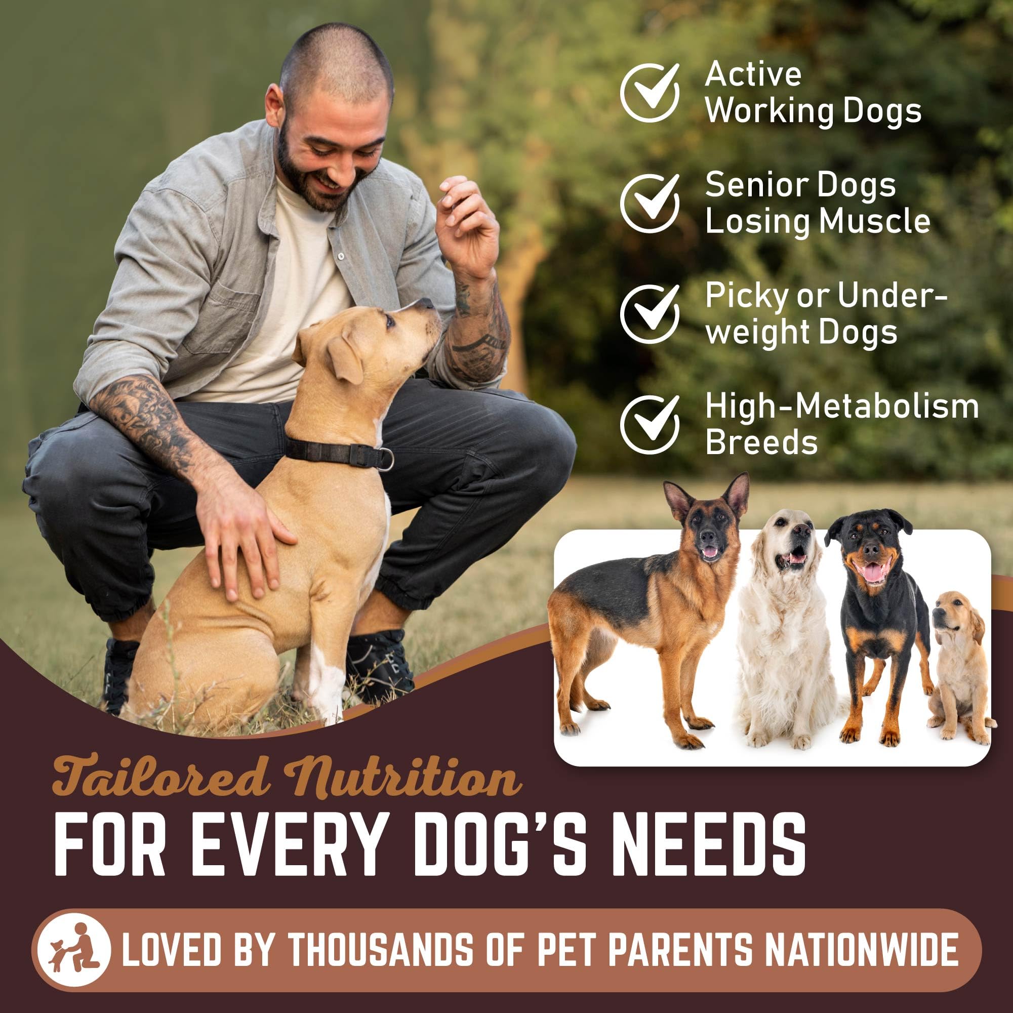 All American Canine ingredientes clave para la salud general del perro.