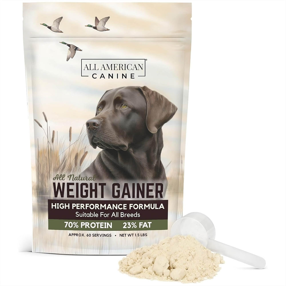 All American Canine polvo ganancia peso para perros, promueve energía y vitalidad.