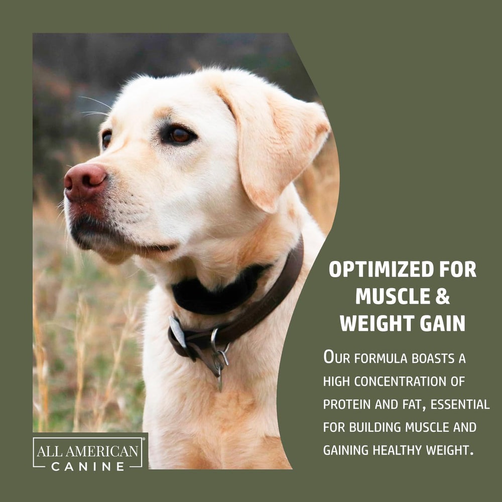 Probióticos de All American Canine para salud digestiva y absorción