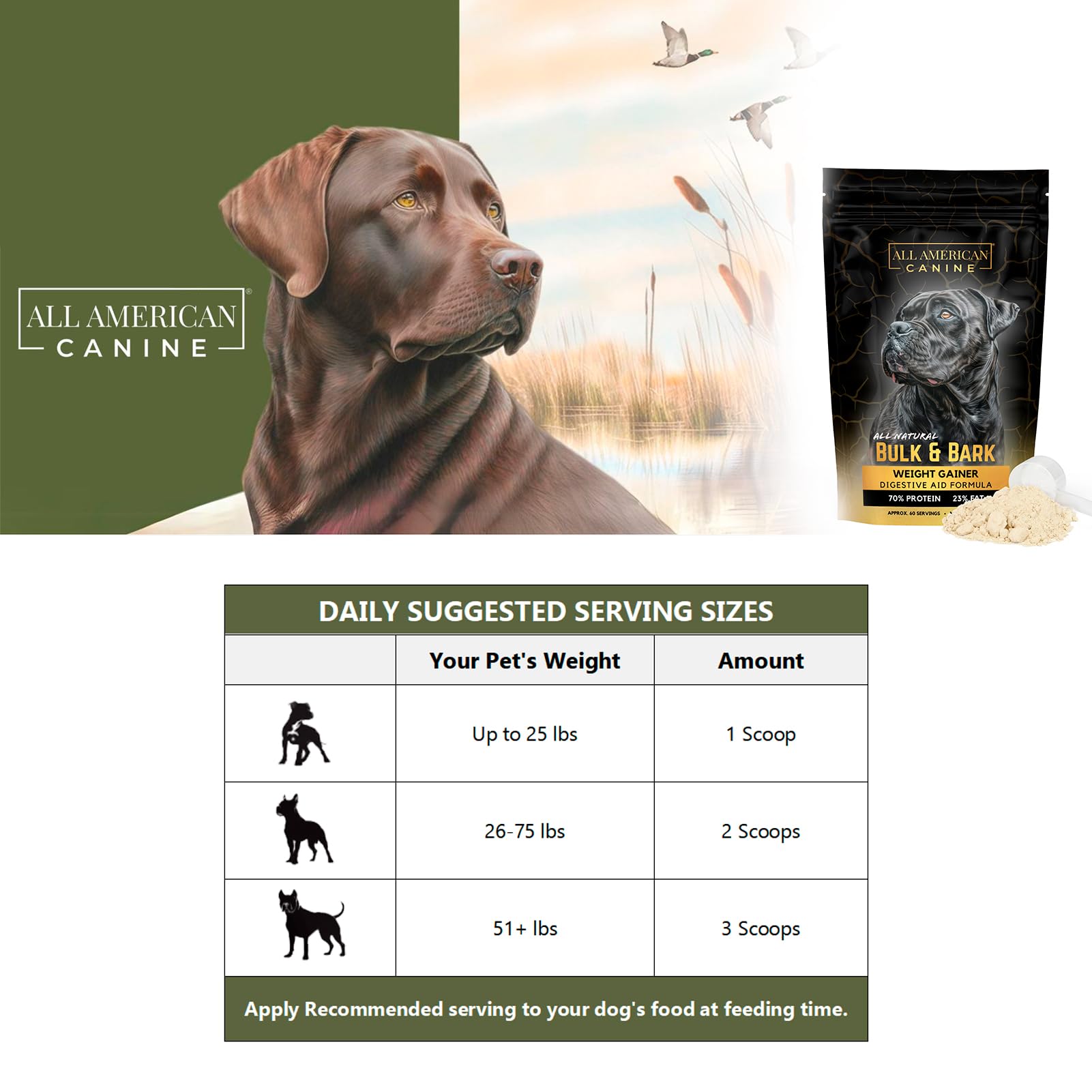 Uso diario del producto All American Canine, ideal para perros activos