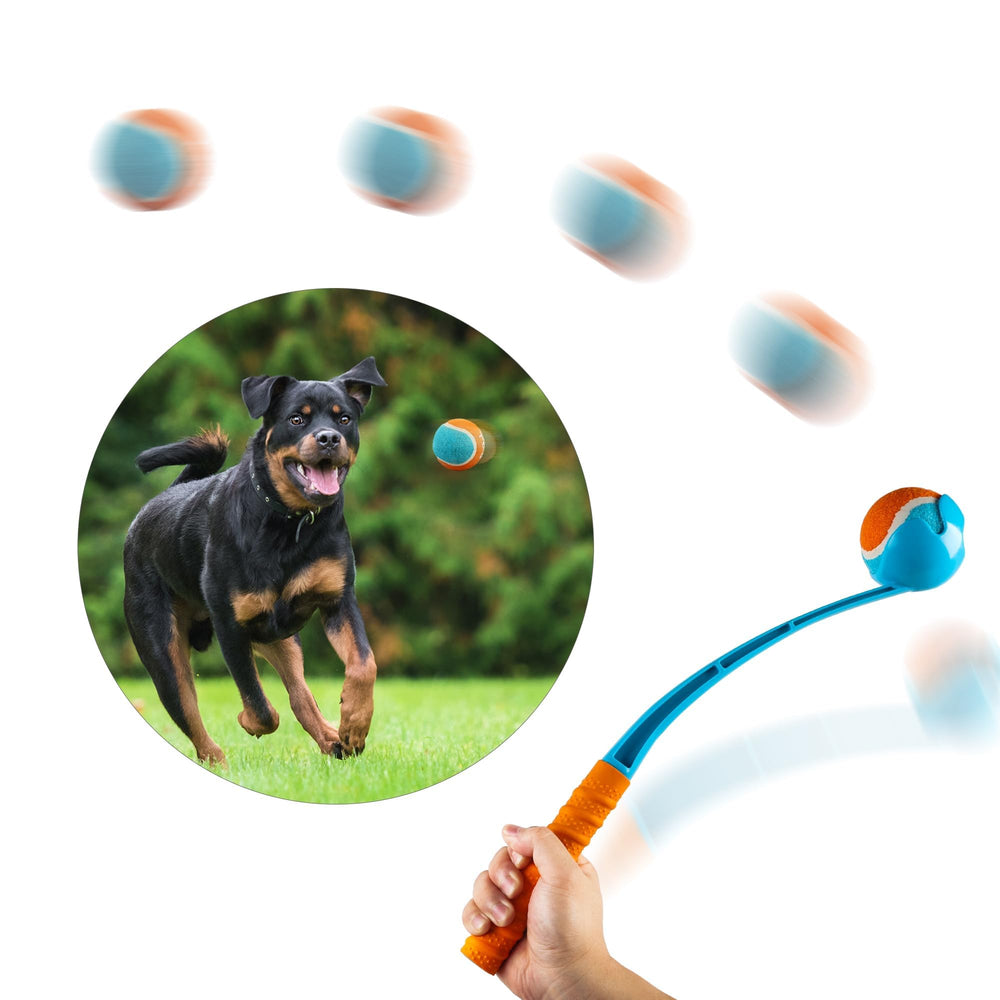ALL FOR PAWS actividad al aire libre con lanzamiento cómodo para perros