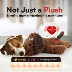 ALL FOR PAWS Juguete Corazón Perro Cachorro 02: ideal para entrenamiento y consuelo.