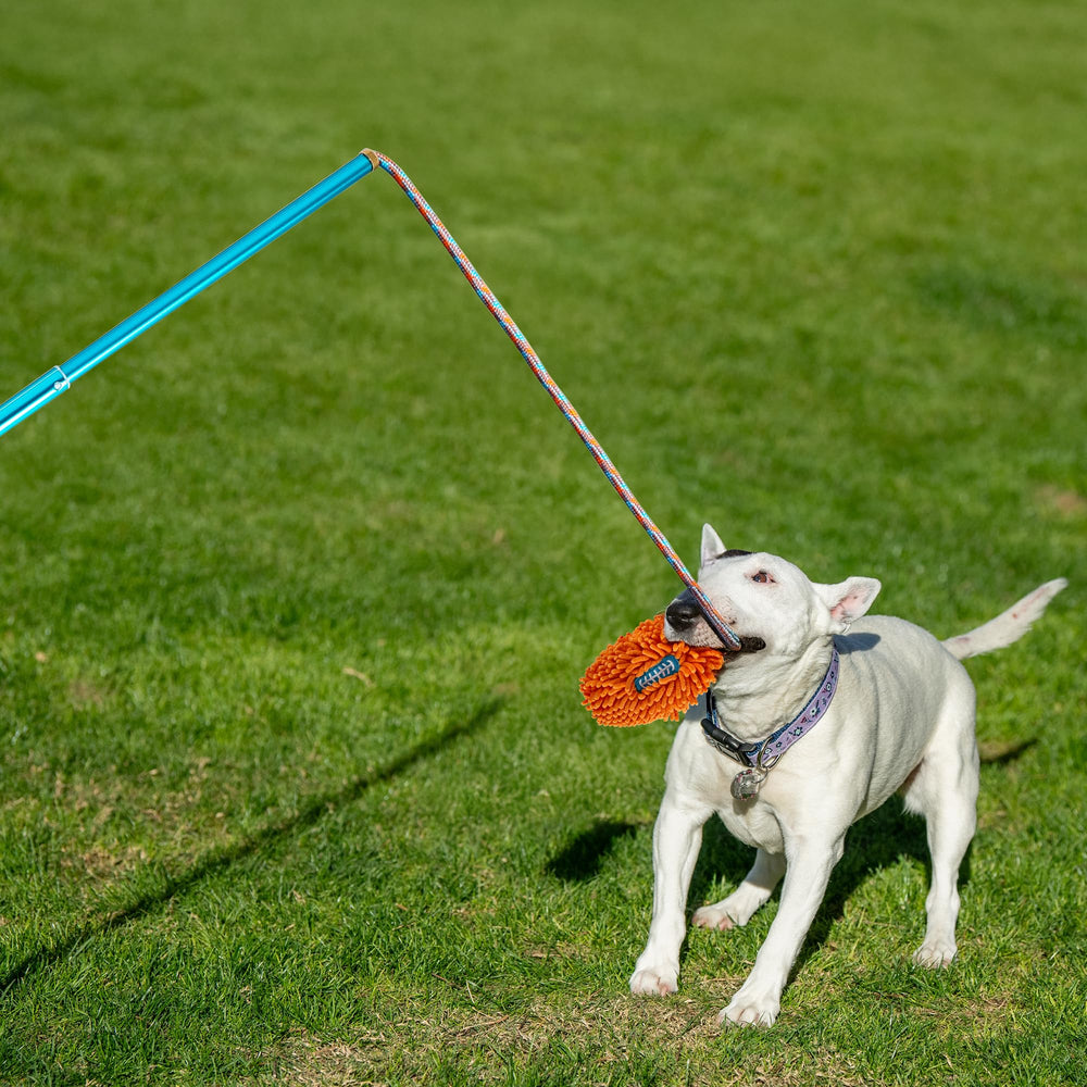 ALL FOR PAWS Flirt Pole señuelo intercambiable para variedad de juegos