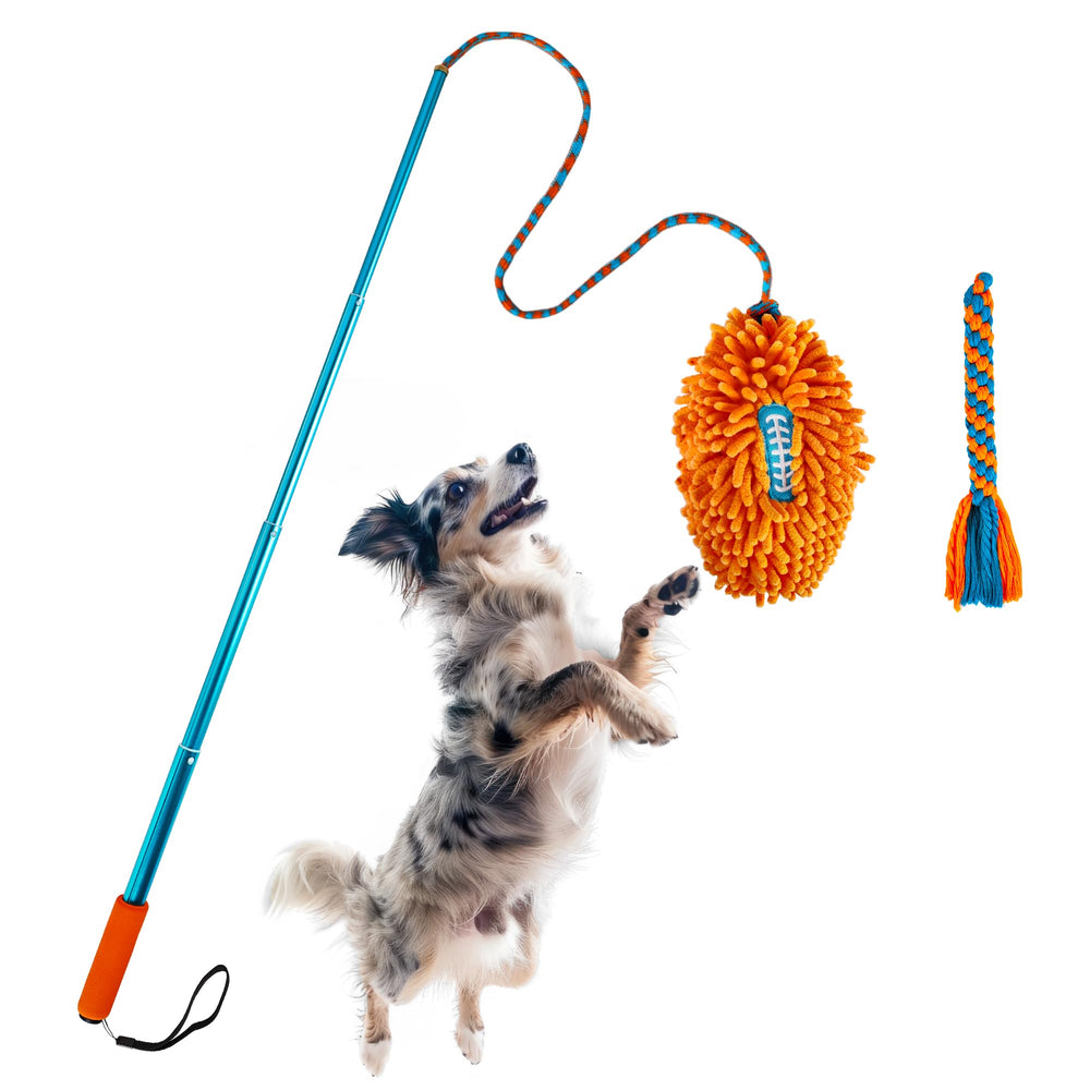ALL FOR PAWS Flirt Pole telescópico para ejercicio intenso al aire libre