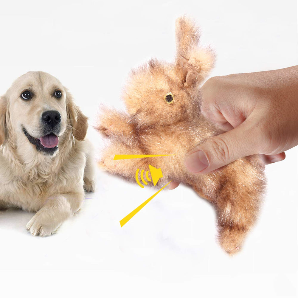 ALL FOR PAWS juguete con chirrido para perros, estimula juego interactivo y foco en la atención.