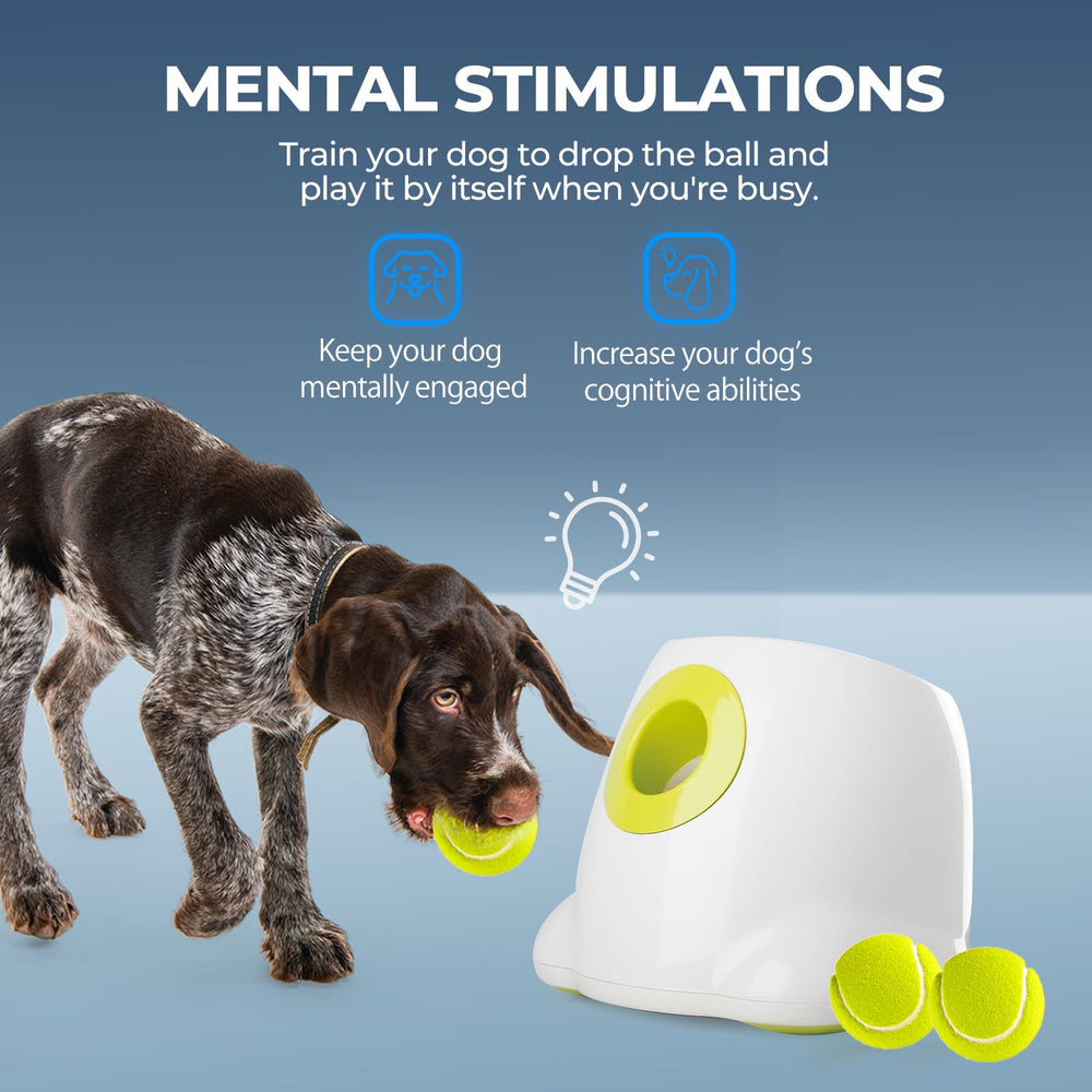ALL FOR PAWS Juguete interactivo para perros facilita sesiones constantes de juego en casa.