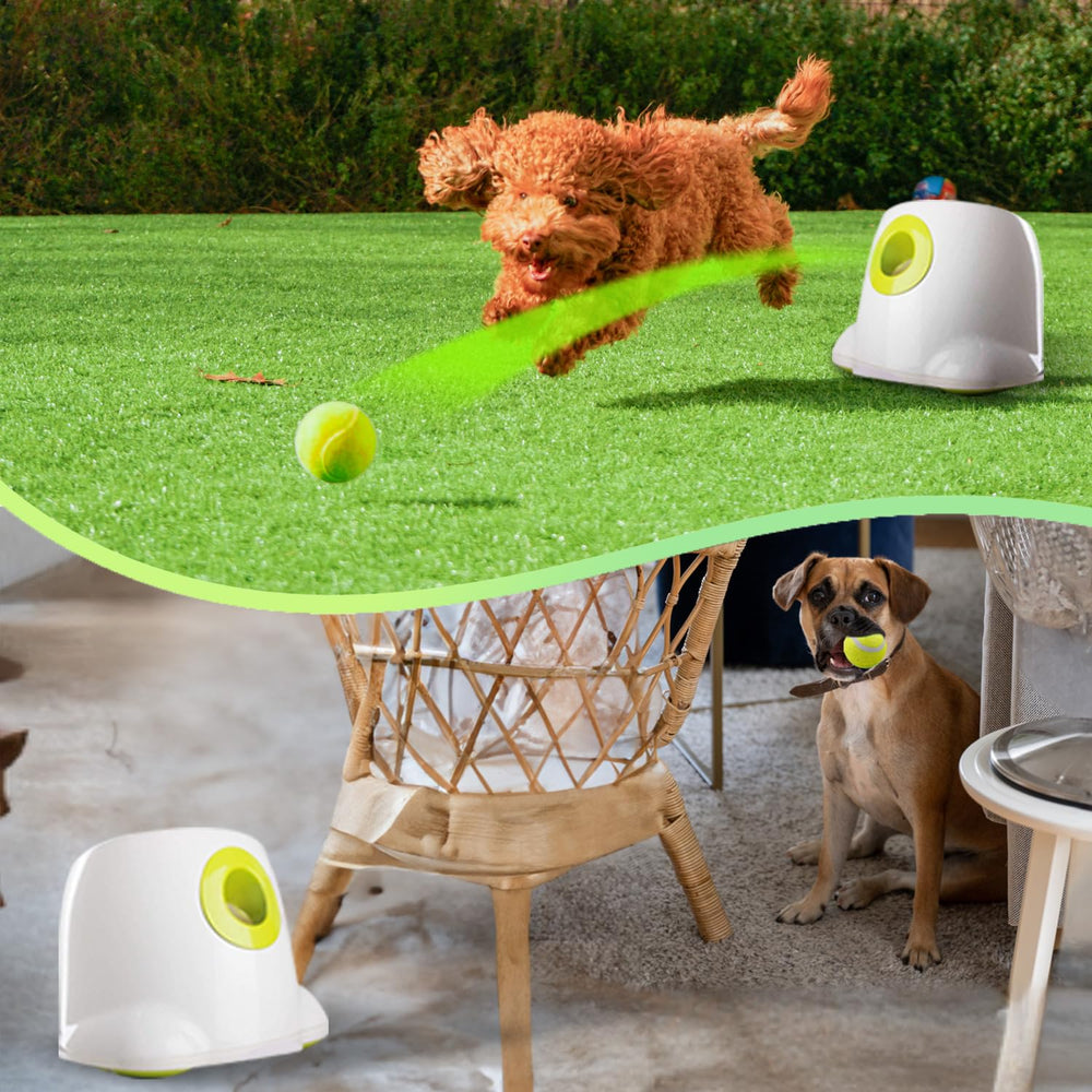 ALL FOR PAWS Lanzador automático, ajuste de distancia en tres niveles para perros.