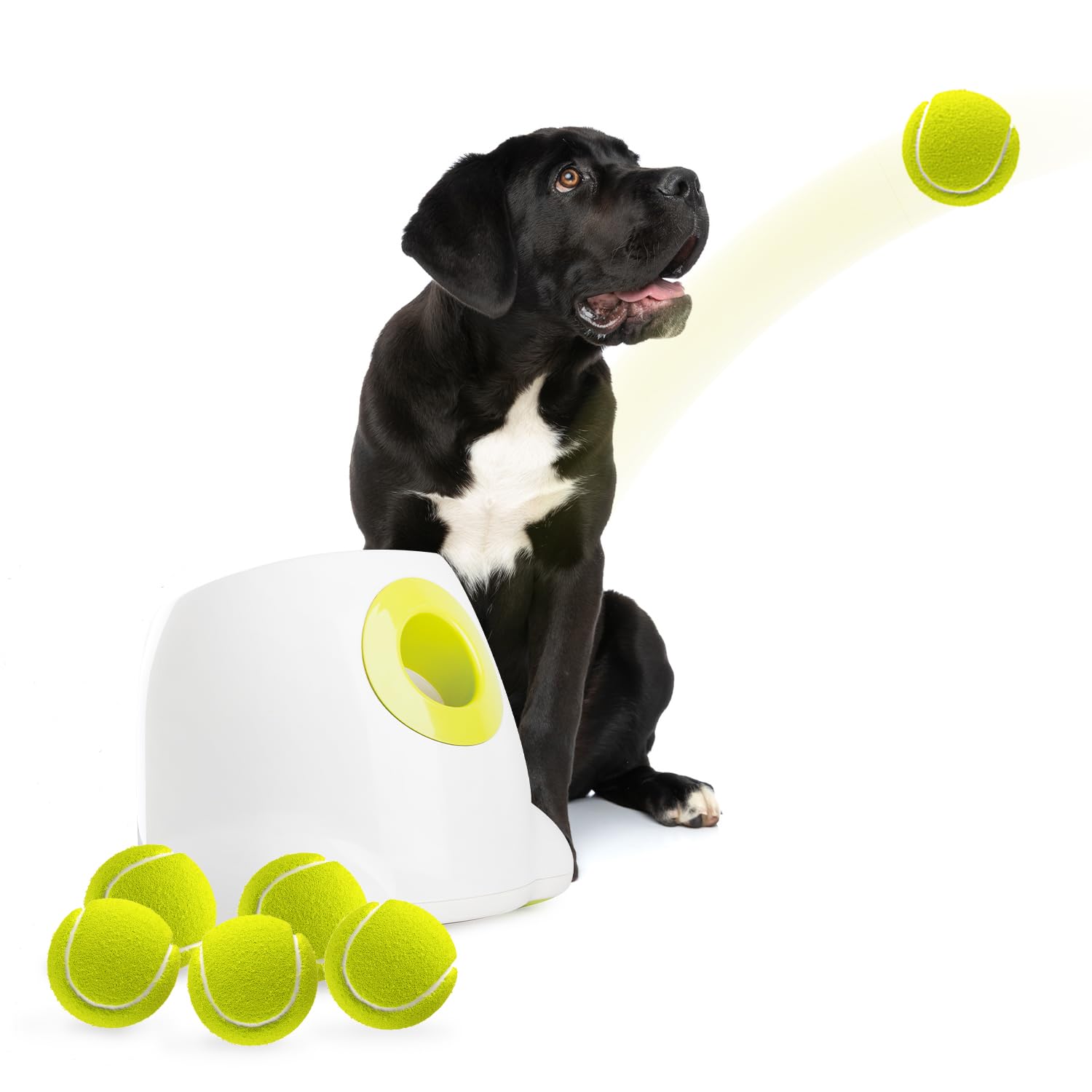 ALL FOR PAWS Lanzador automático Maxi lanza pelotas para perros grandes, juego sin esfuerzo.