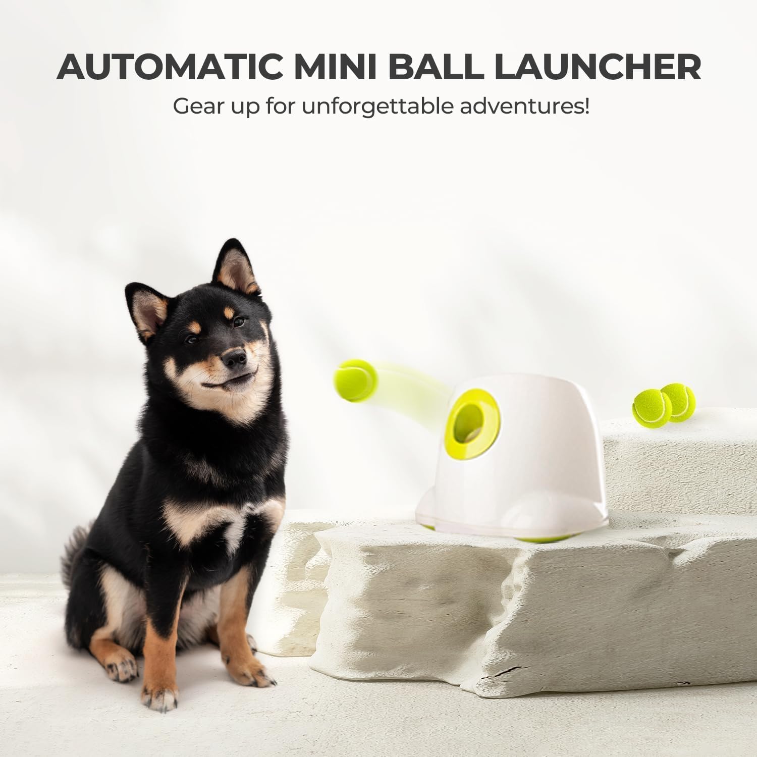ALL FOR PAWS Lanzador automático, tres pelotas tenis incluidas para empezar a jugar.