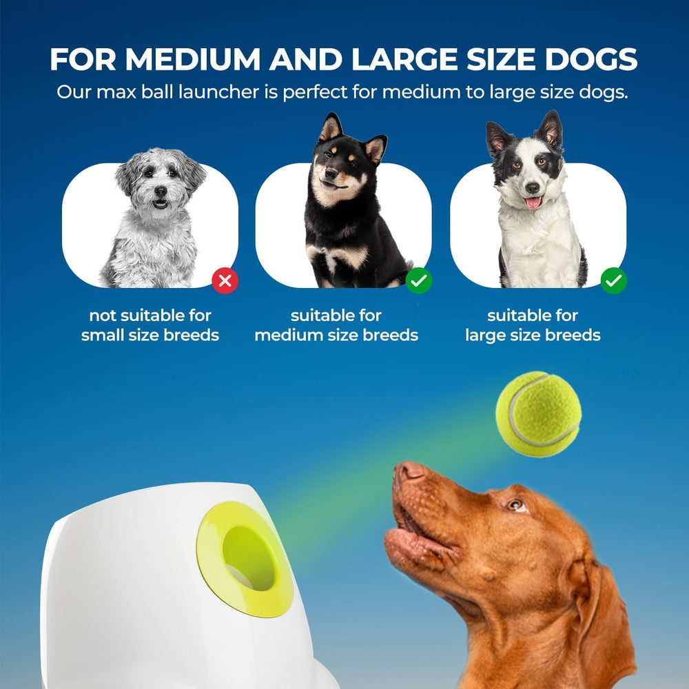 Pelotas incluidas ALL FOR PAWS para un uso práctico y seguro.
