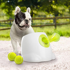 All For Paws lanzador-pelotas para perros pequeños en uso mejora la interacción