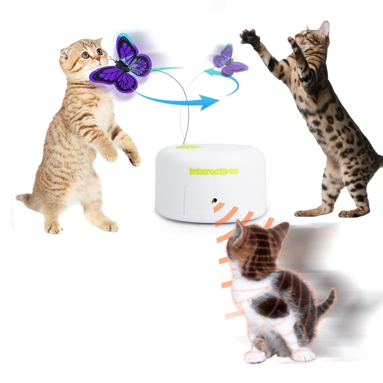 ALL FOR PAWS mariposa interactiva: mariposa brillante que estimula juego activo.
