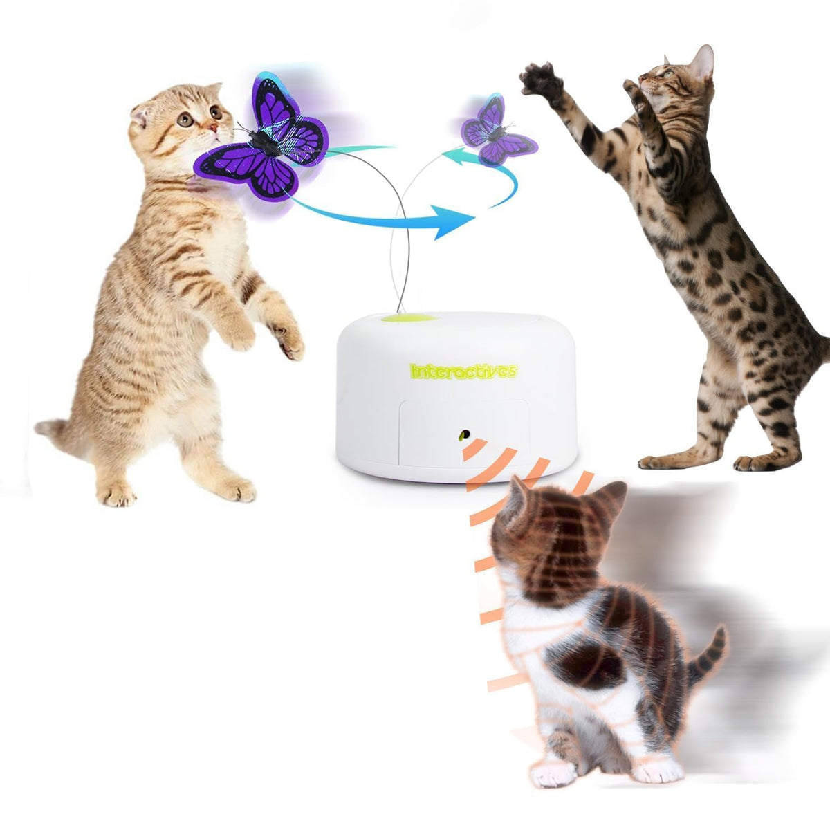 ALL FOR PAWS mariposa interactiva: mariposa brillante que estimula juego activo.