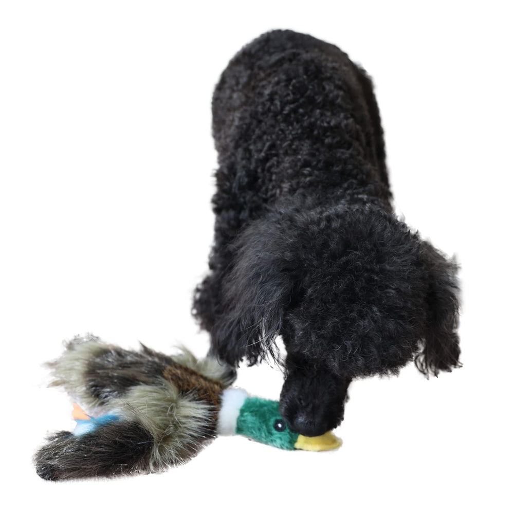 ALL FOR PAWS pato con sonajero, experiencia de juego interactivo para perros activos