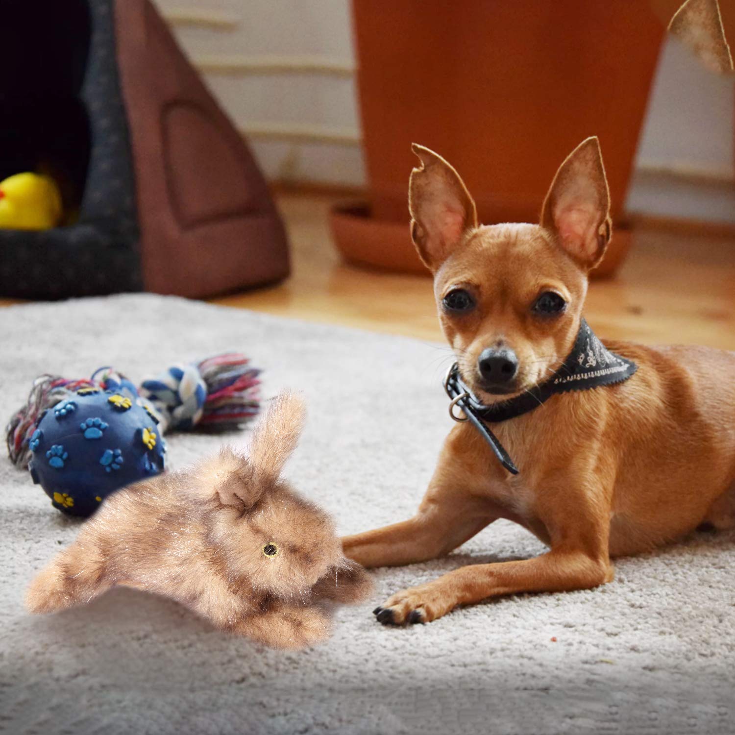ALL FOR PAWS peluche de entrenamiento para perros, ideal para reforzar hábitos positivos.