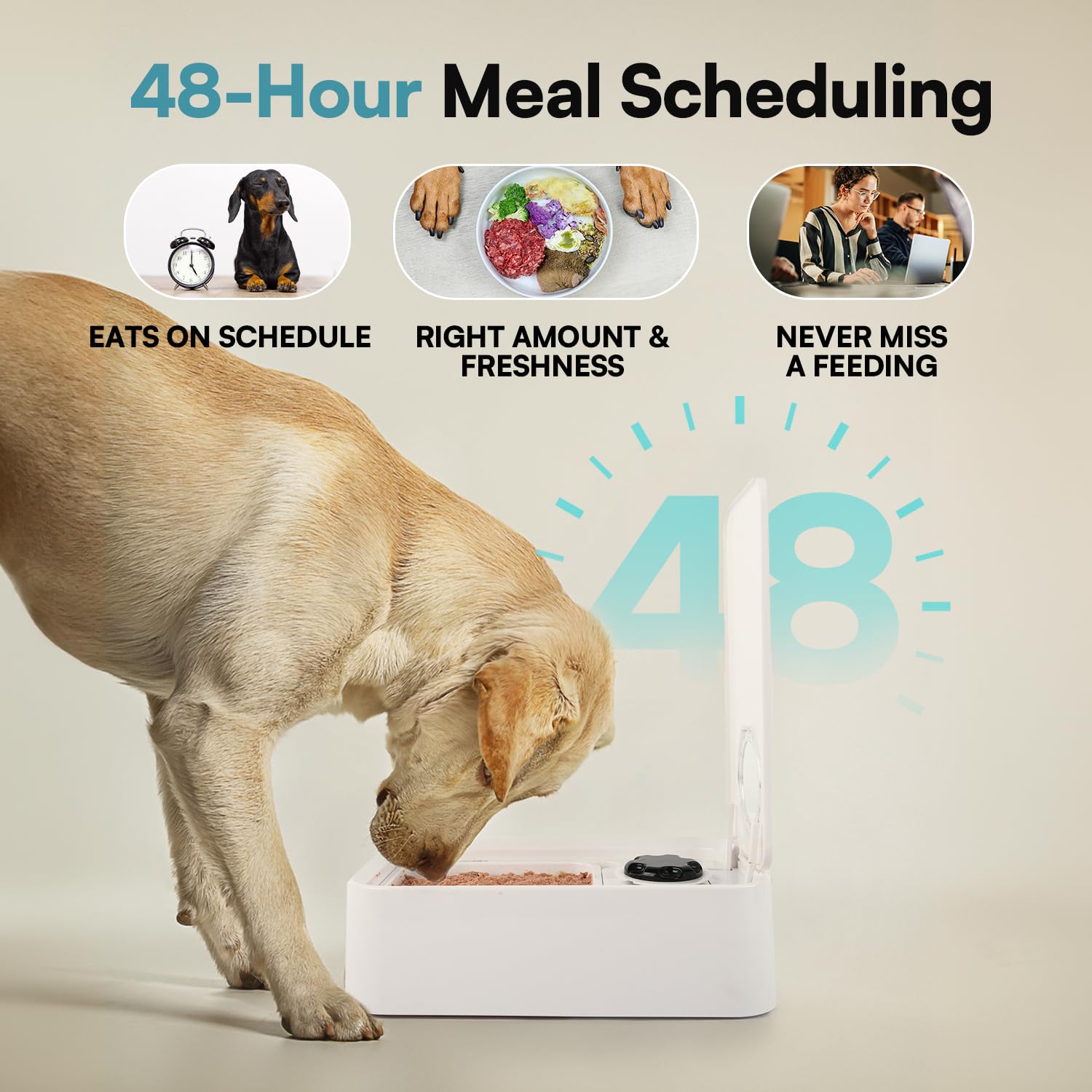 ALL FOR PAWS porciones ajustables para cada comida del perro
