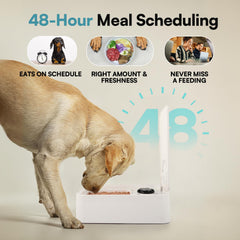 ALL FOR PAWS porciones ajustables para cada comida del perro