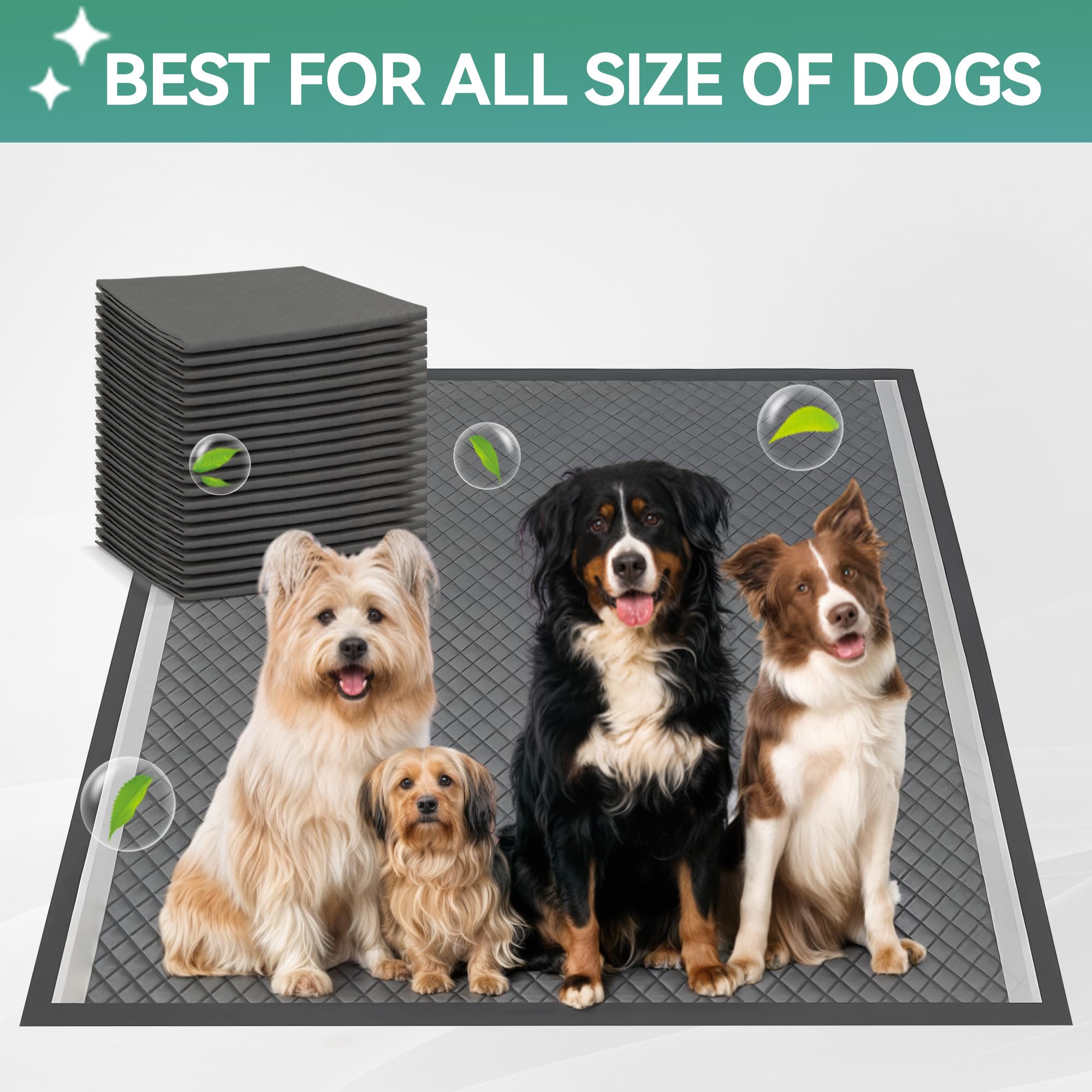 ALL FOR PAWS porta-absorbentes XL, facilidad de limpieza con rejilla extraíble.
