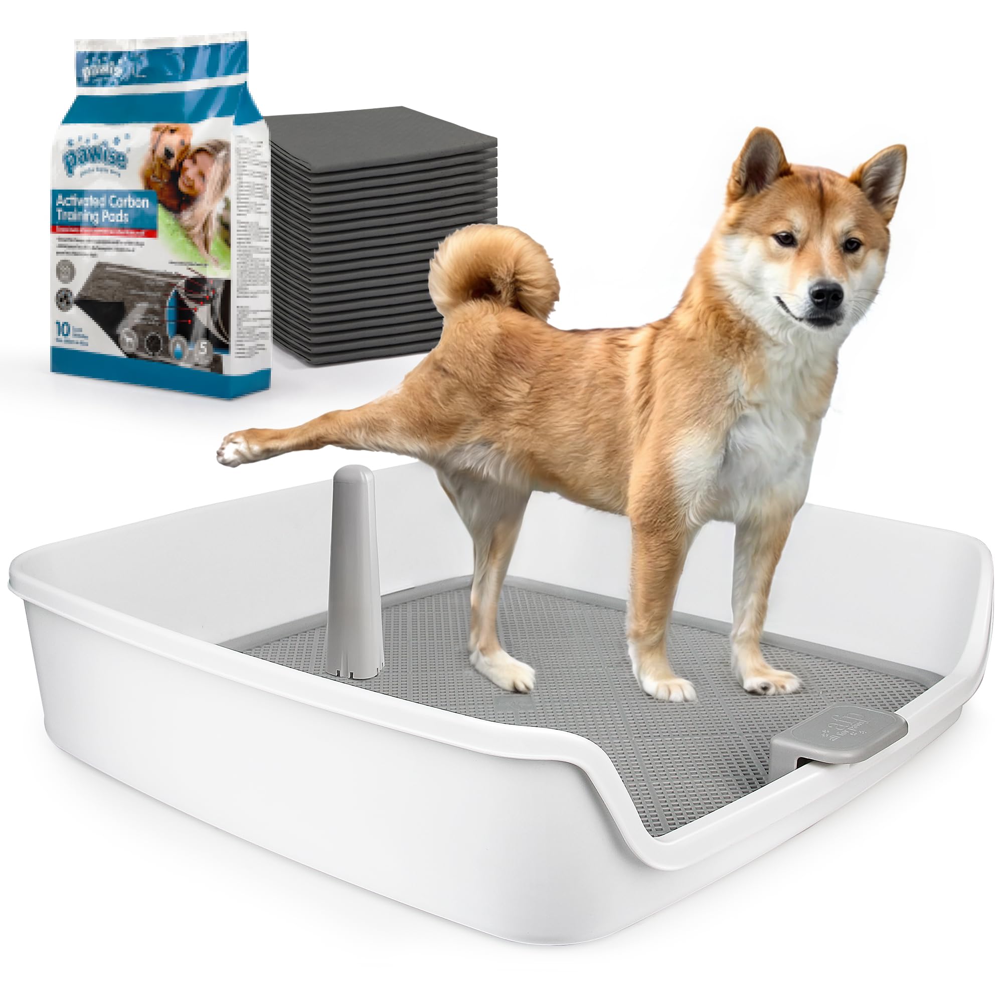 ALL FOR PAWS porta-absorbentes XL, vista general para entrenamiento en casa.