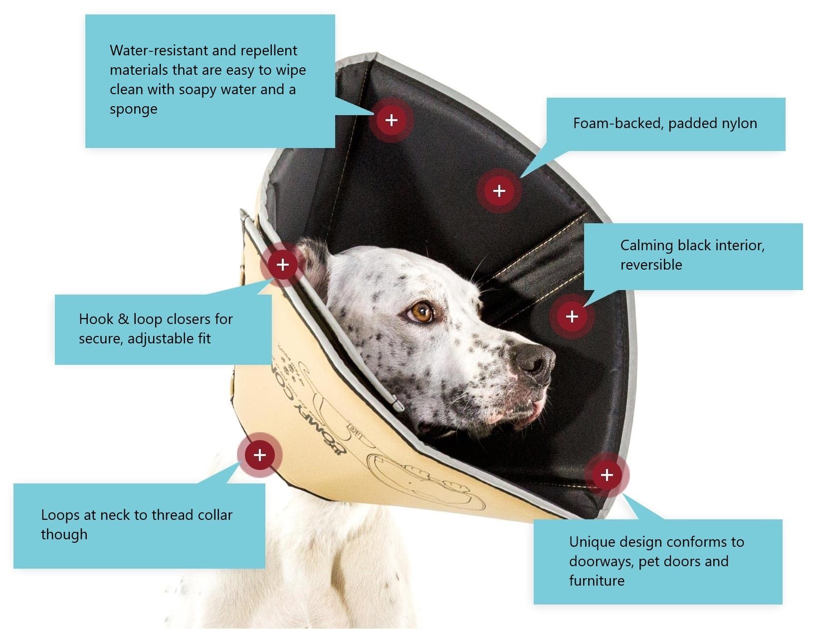 All Four Paws Comfy Cone con borde reflectante para mayor seguridad nocturna.