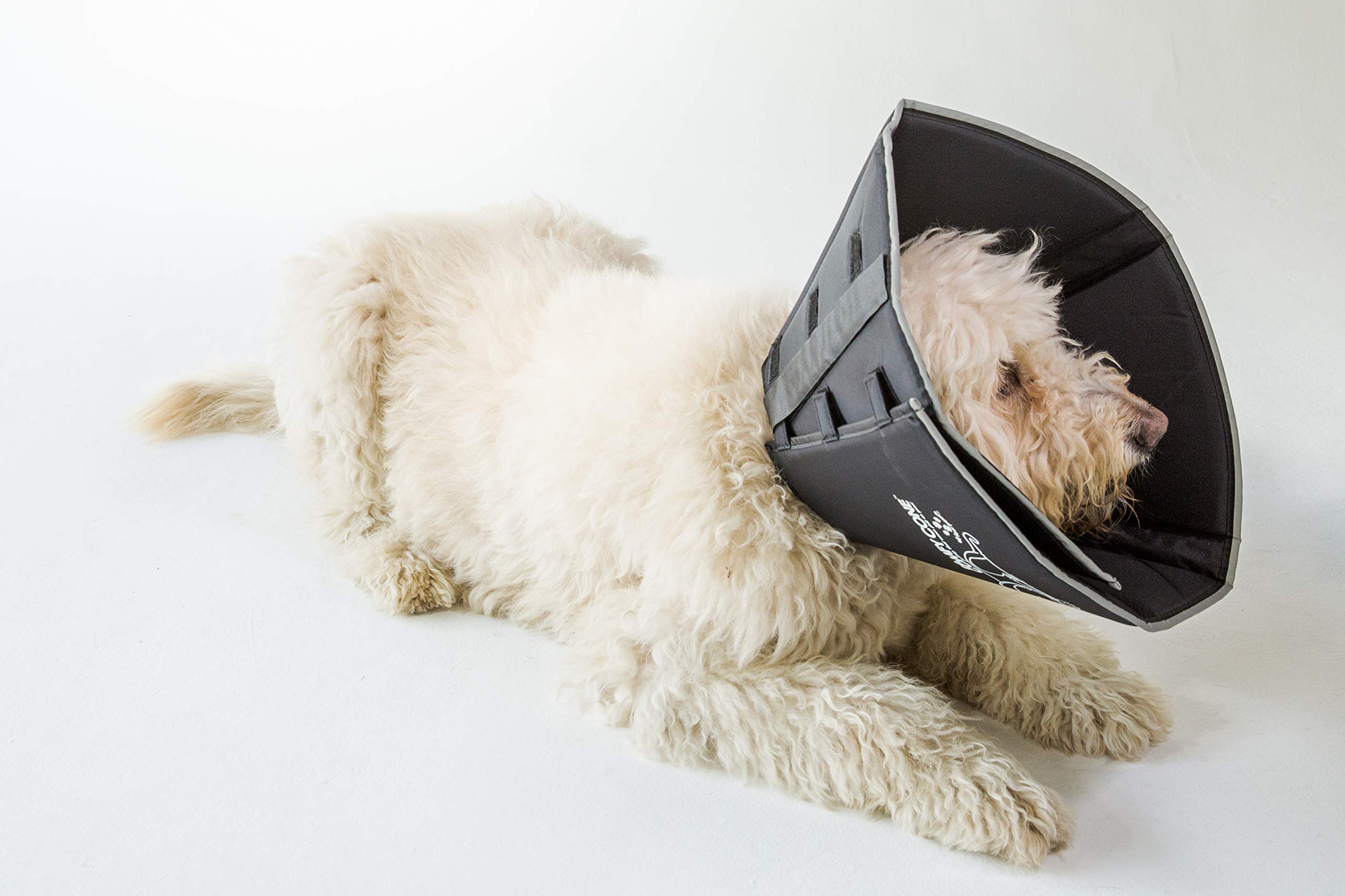 All Four Paws Comfy Cone se pliega para comer y beber sin perder ajuste.