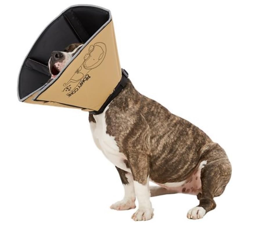 All Four Paws Comfy Cone, uso diario en casa, comodidad al comer y beber.