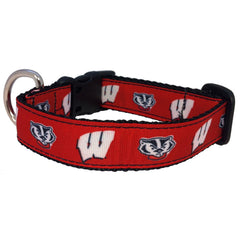 Collar All Star Dogs con logotipo de Wisconsin Badgers en el frente, perfecto para paseos con orgullo