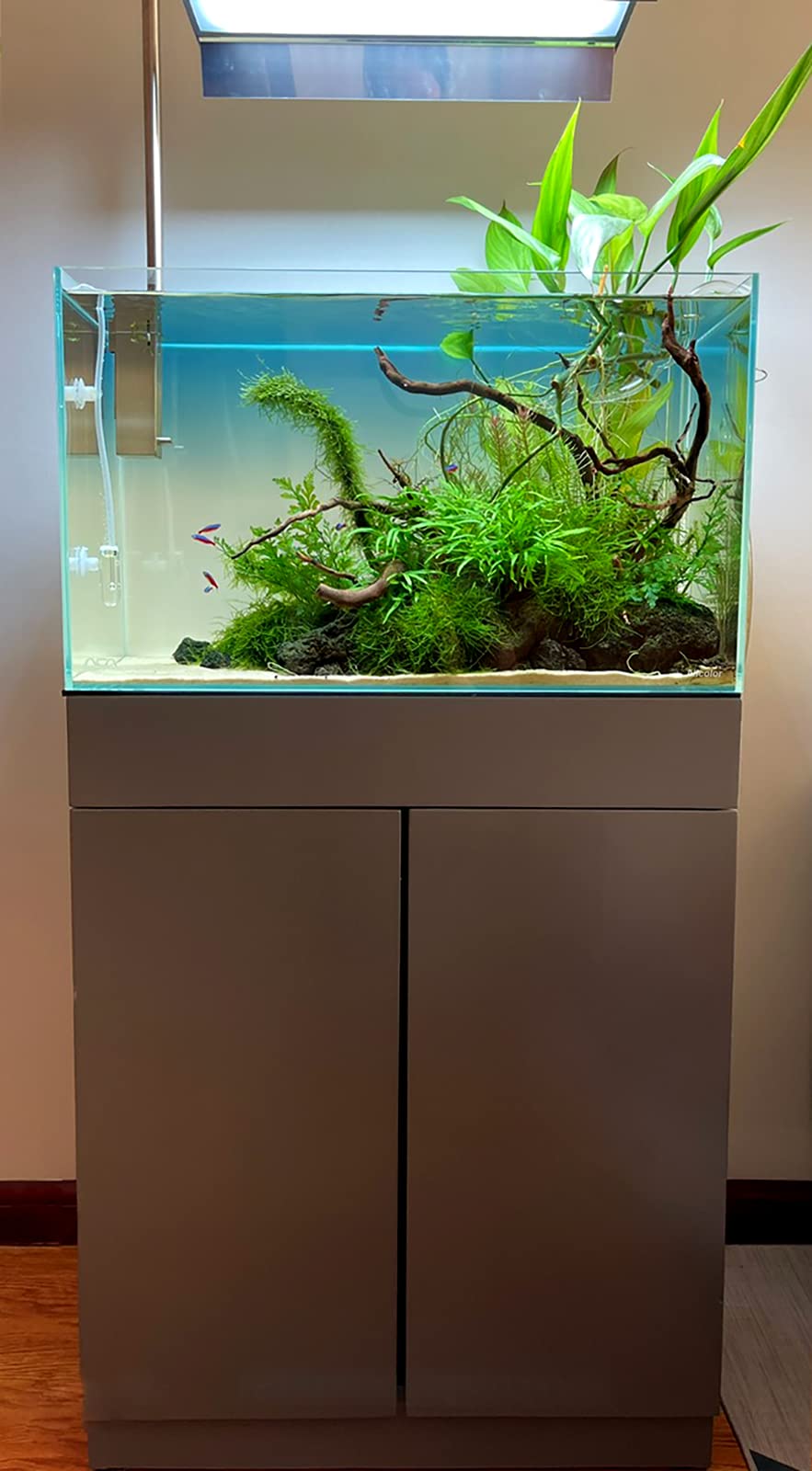 Allcolor acuario con tapa de vidrio superior para seguridad y estética.