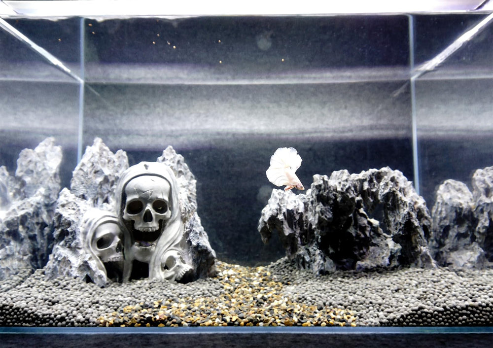 Allcolor Decoración de rocas para fondo de vitrina o estantería.