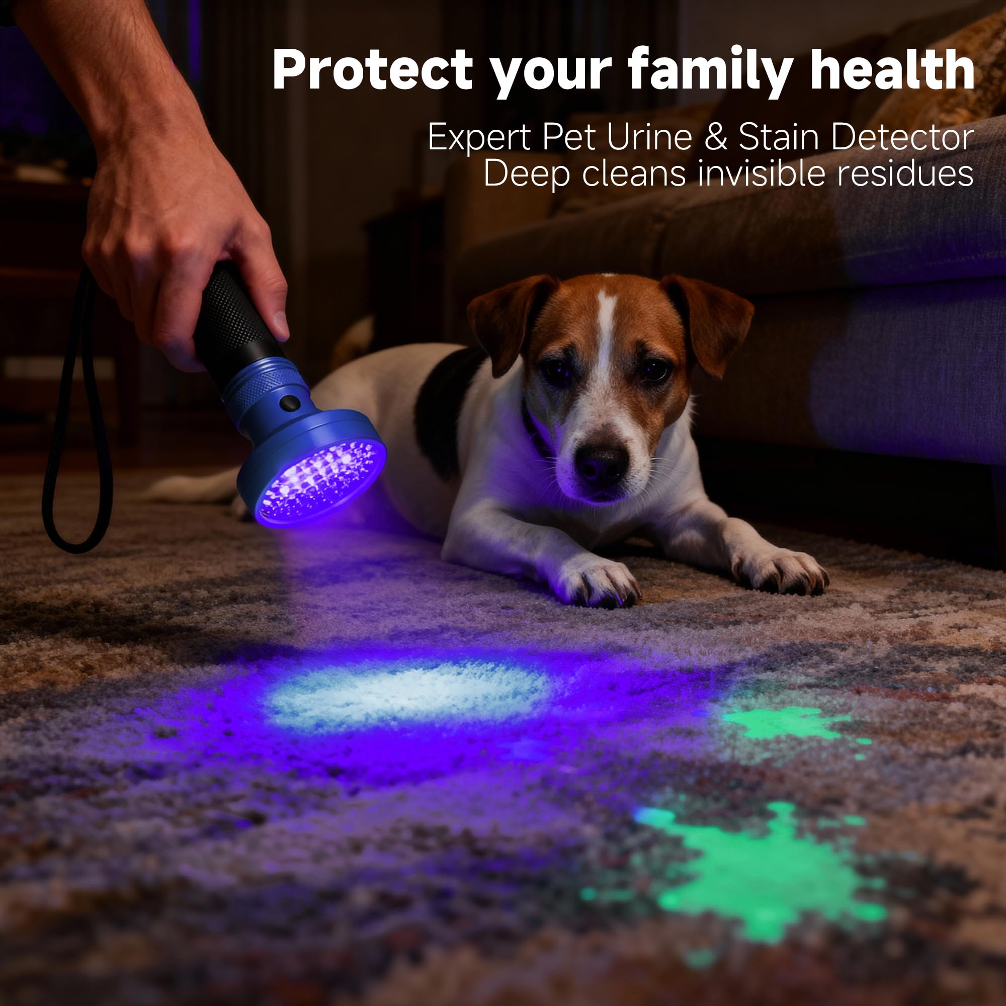 ALLINCOZY detección de orina de mascotas con UV para limpieza fácil