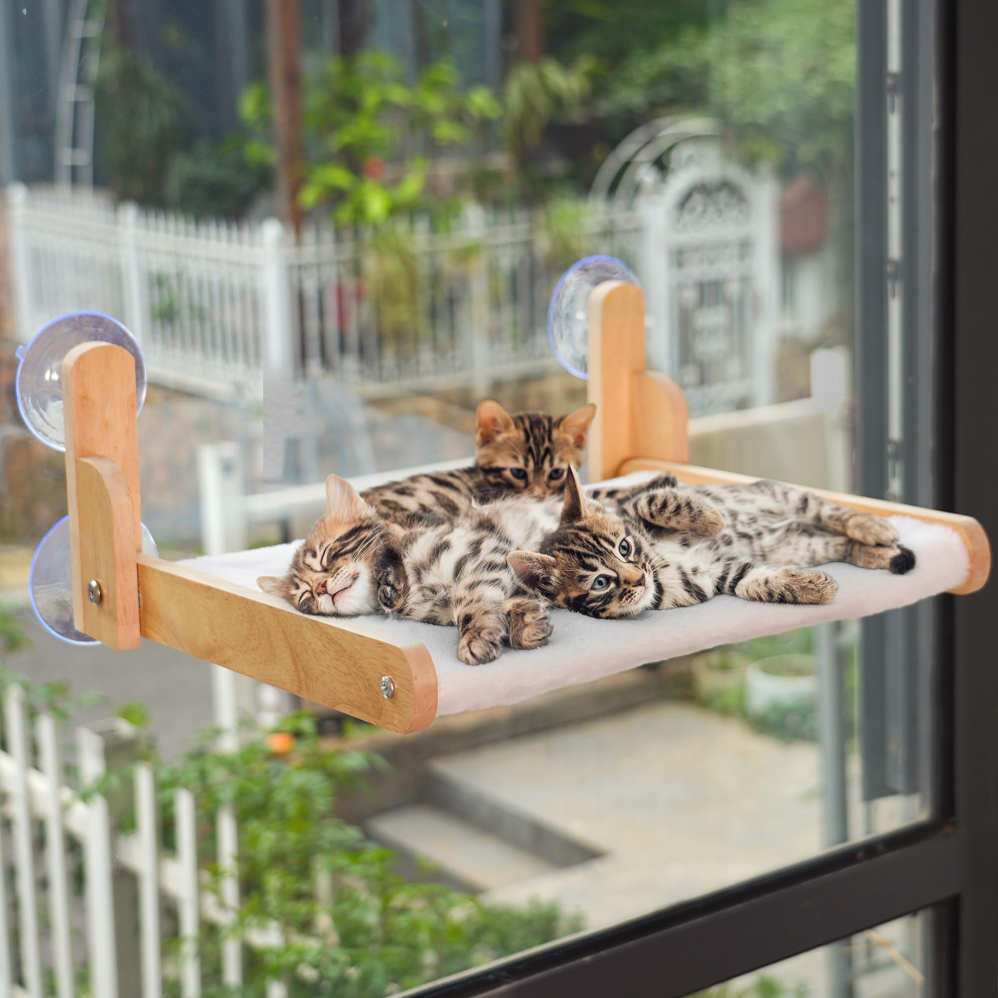 Aloxina momento relajante para gato: observa, escucha y disfruta del calor solar.