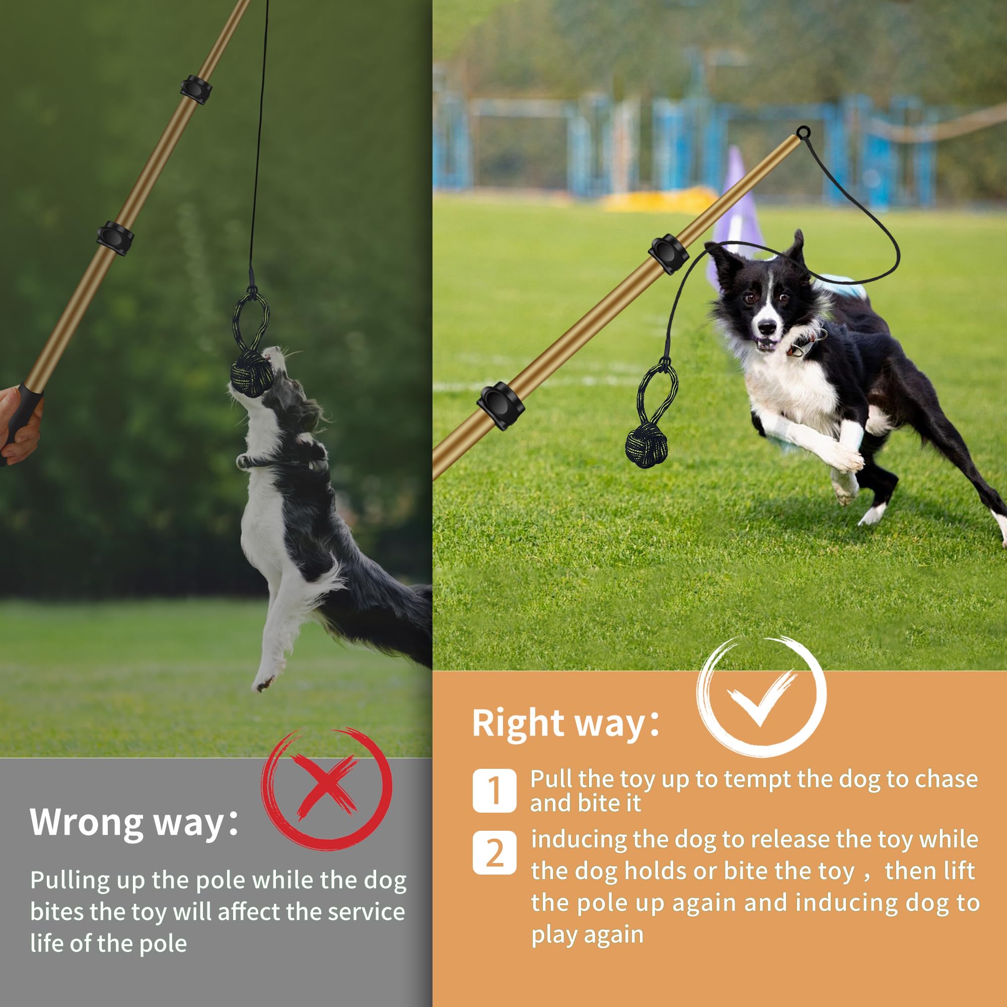 AmaCielo Juguete interactivo para perros, ideal para ejercicio y estimulación al aire libre.