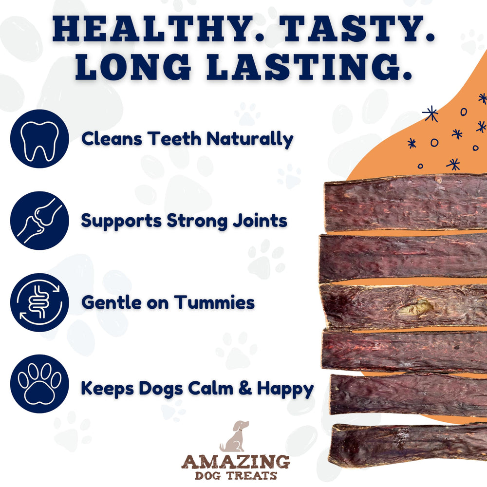 Amazing Dog Treats cuidado dental: masticación que apoya la higiene bucal.