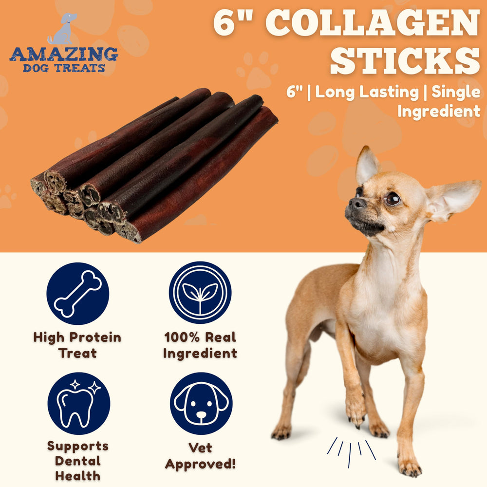 Amazing Dog Treats: palitos de colágeno para perros, enfoque en dientes y encías saludables.