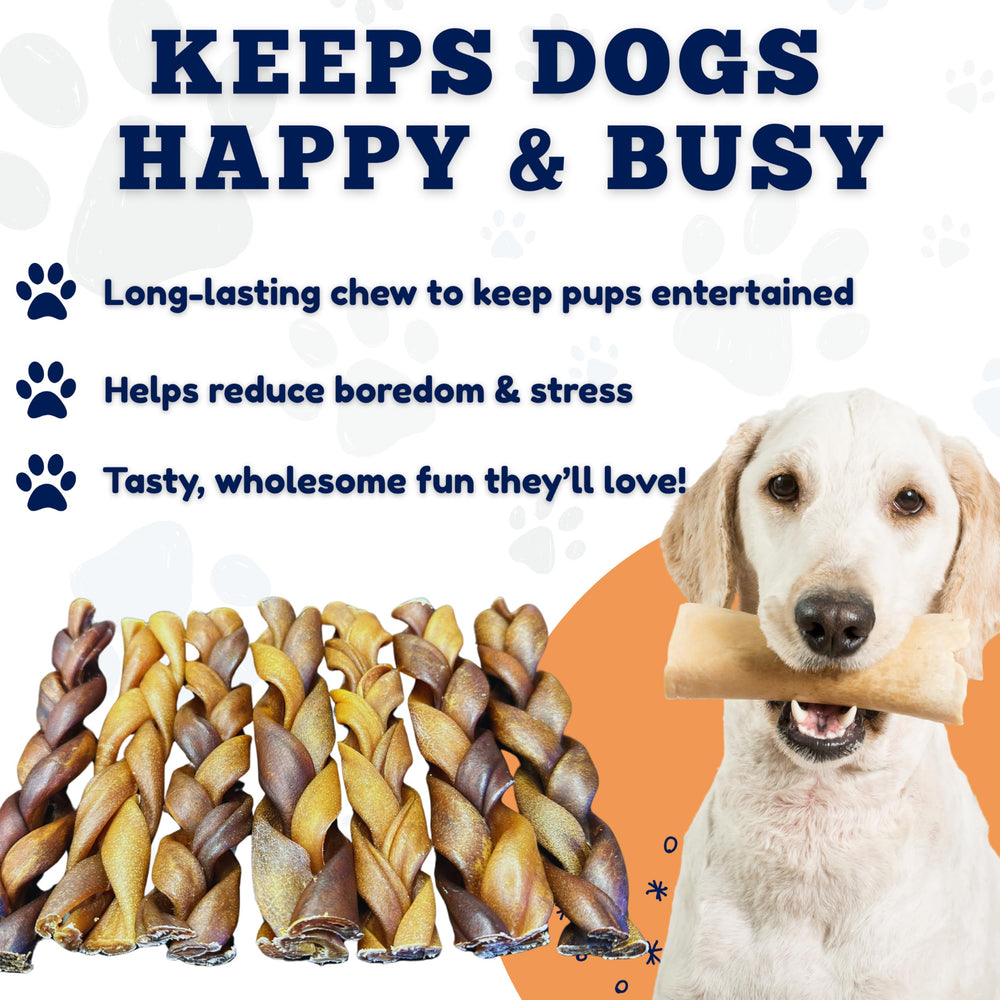 Amazing Dog Treats snack diario para perros durante entrenamiento.