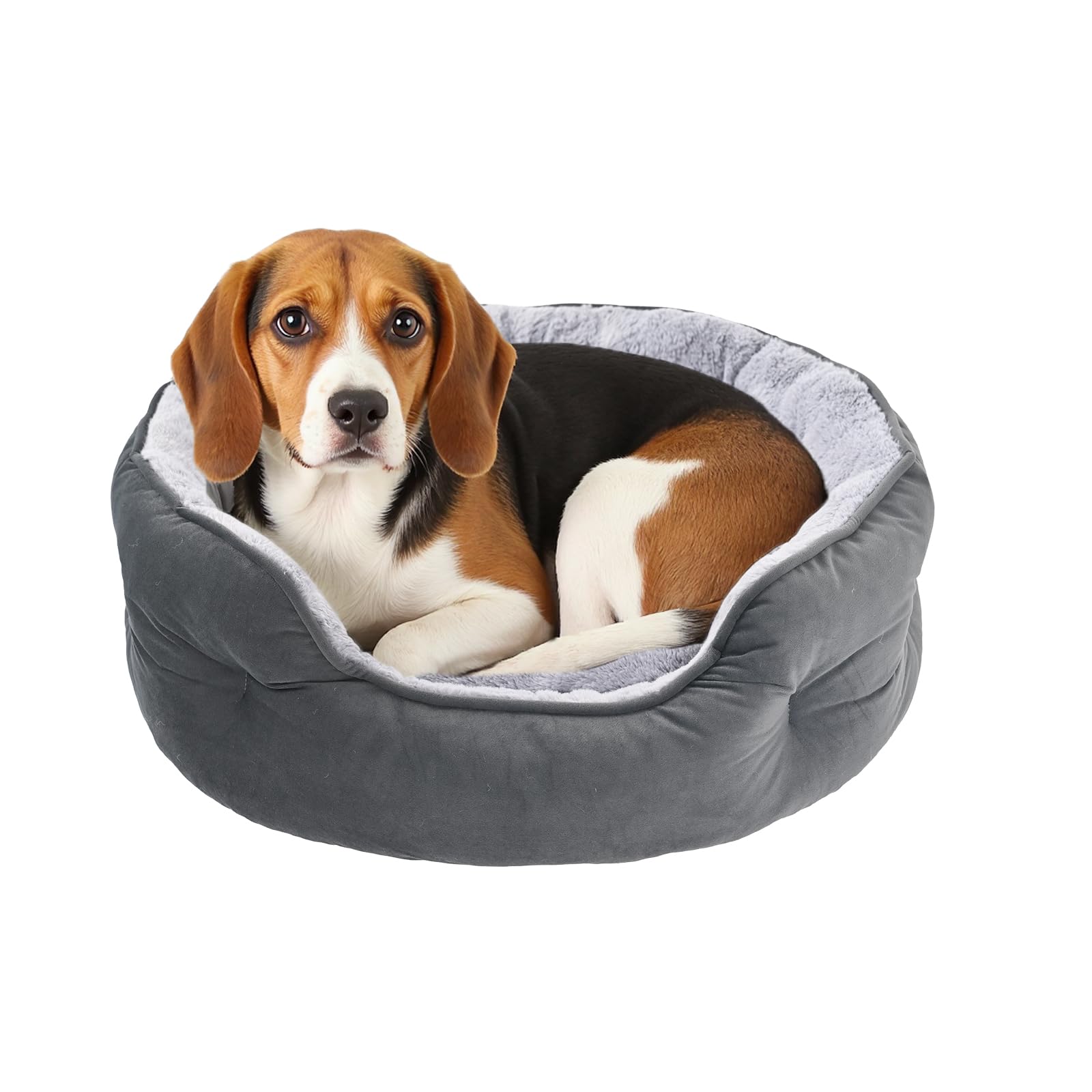Cama redonda Amazon Basics con superficie suave para perros medianos