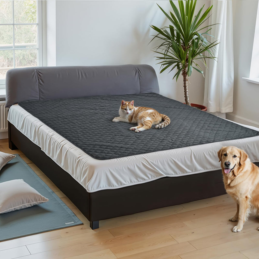 Uso versátil: sofá, cama, jaula y áreas de descanso con Amazon Basics.