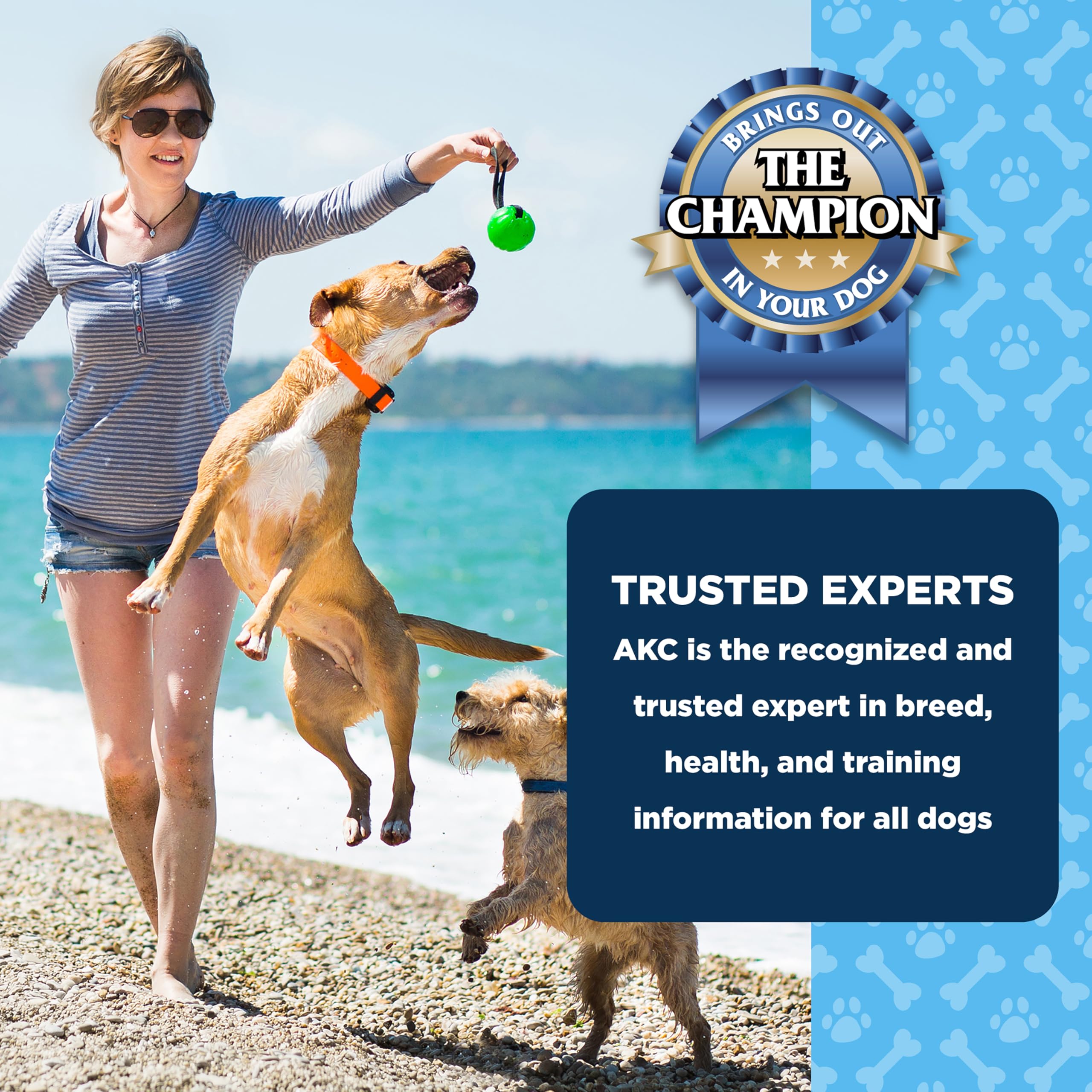 American Kennel Club Dentacare producto estadounidense en envase de 20 unidades