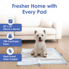 Tapete AKC con absorcion rápida para pisos secos y limpios