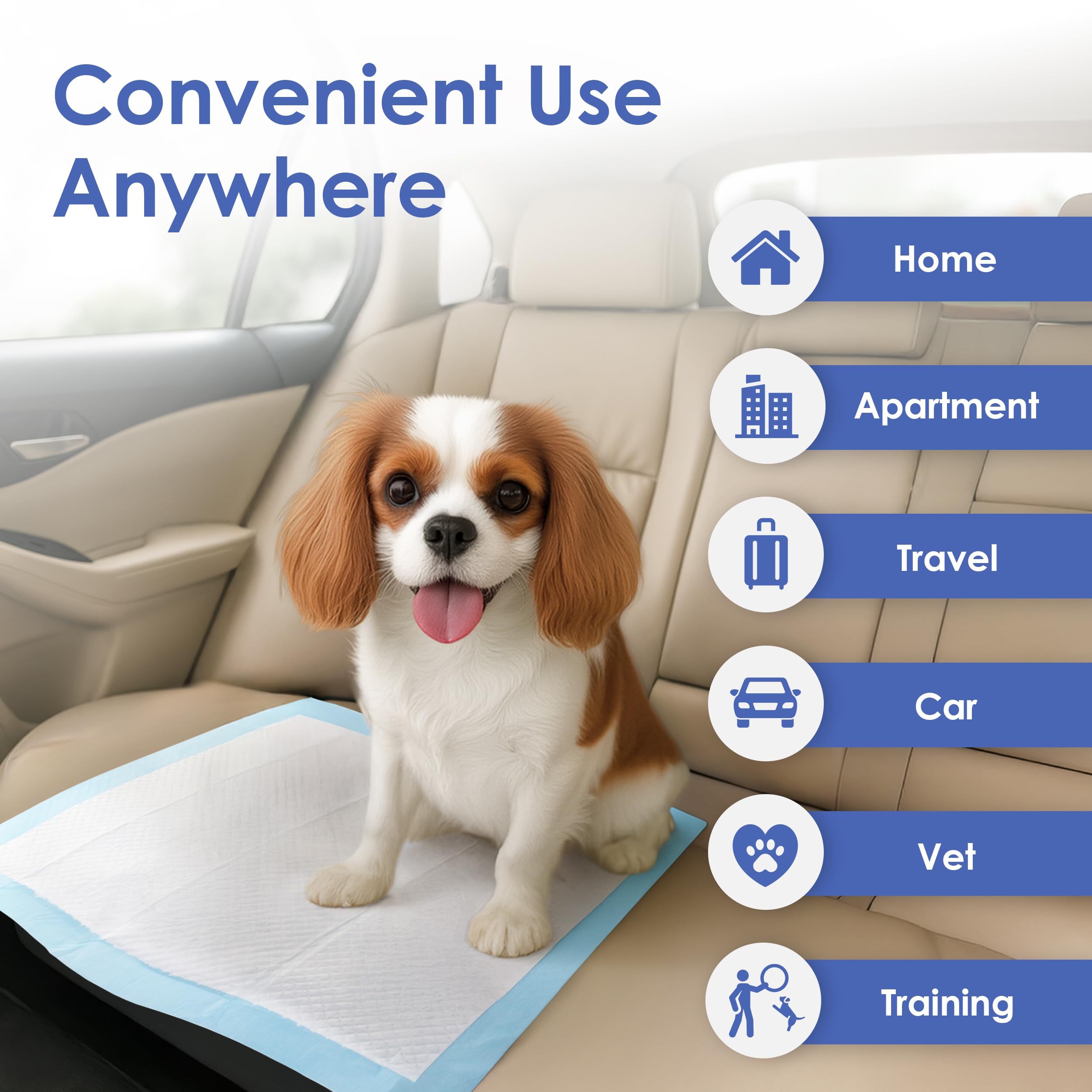Tapete AKC para perros, superficie suave y soporte seguro