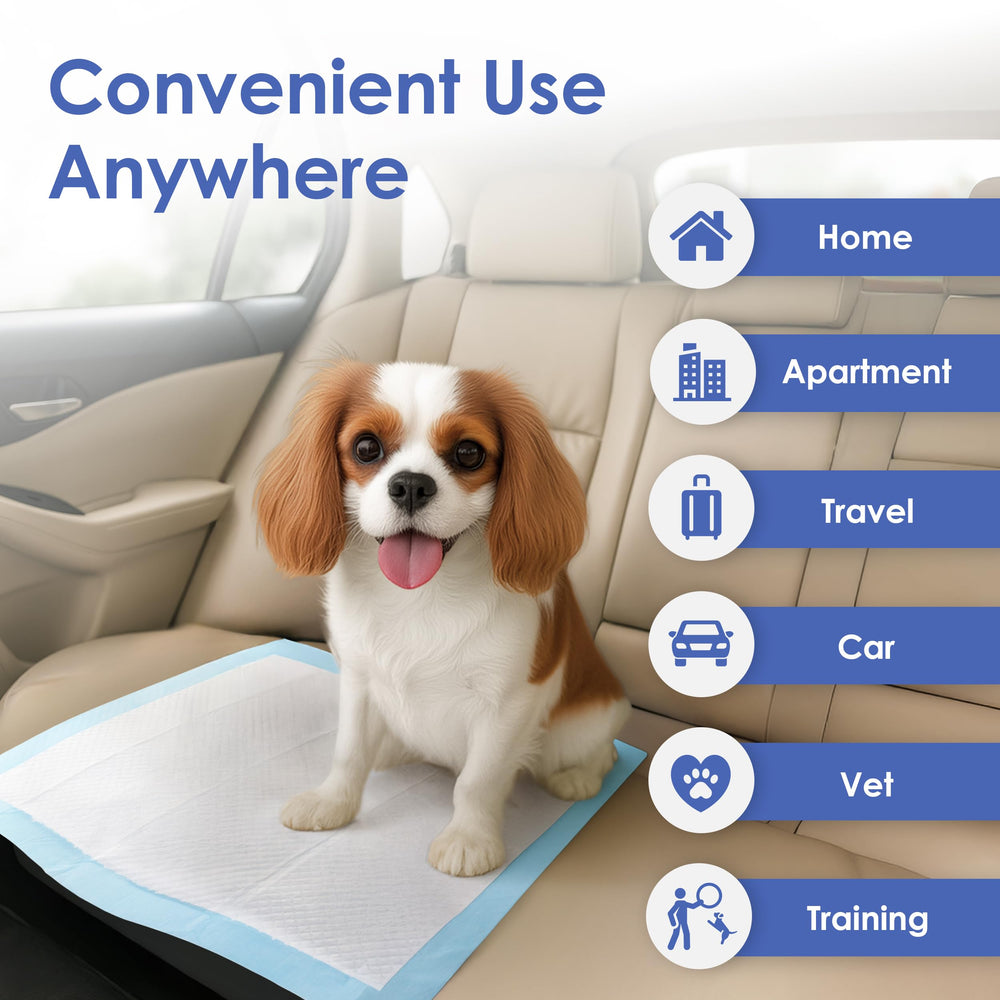 Tapete AKC para perros, superficie suave y soporte seguro