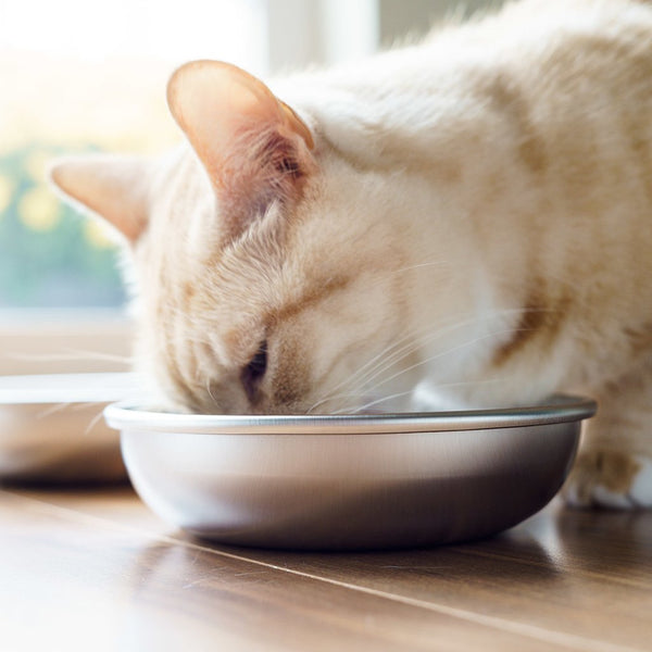 Tazones Americat aptos para lavavajillas, fáciles de limpiar y duraderos