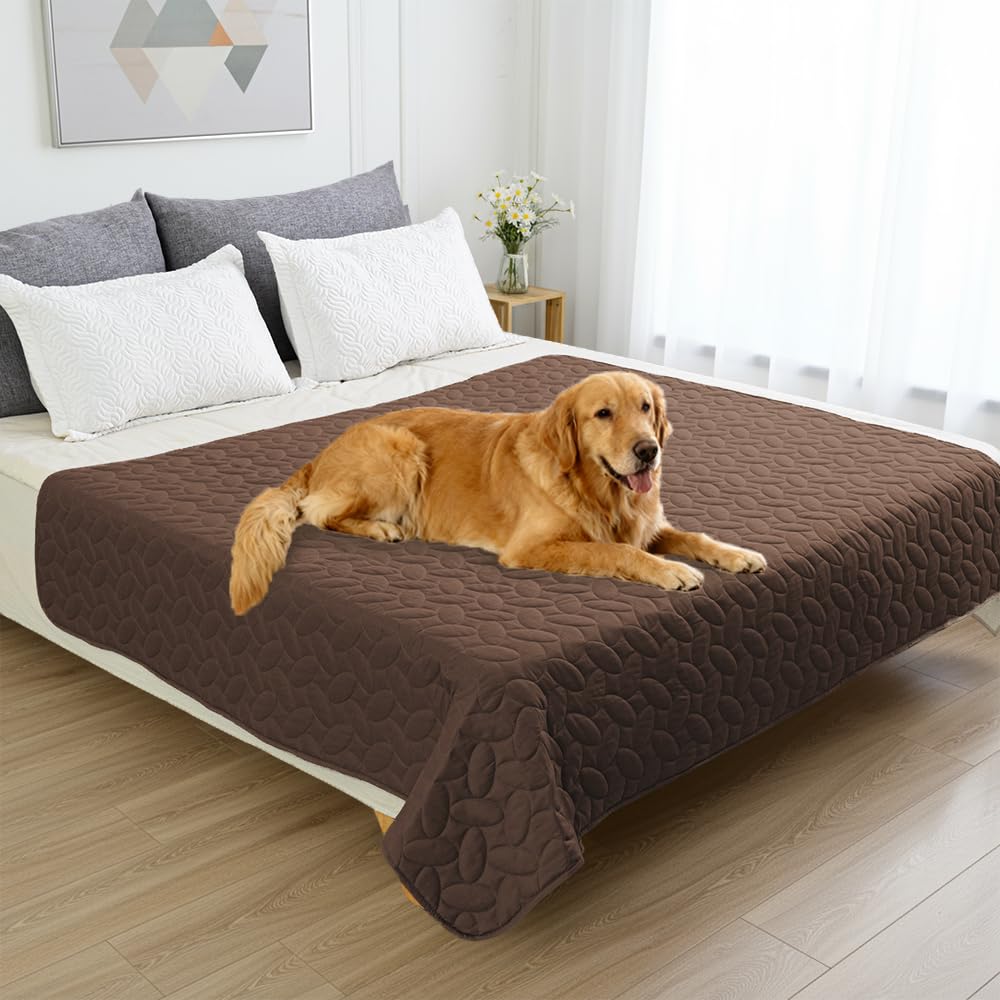 Ideal para uso diario con mascotas y un salón limpio.