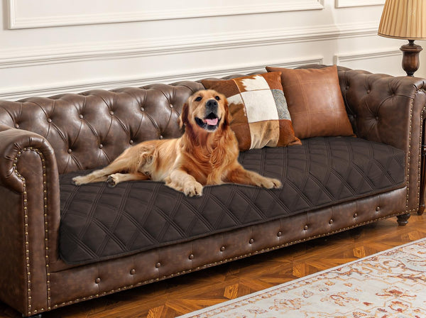 Ameritex cobertor impermeable para perro en sofá, protege contra derrames.