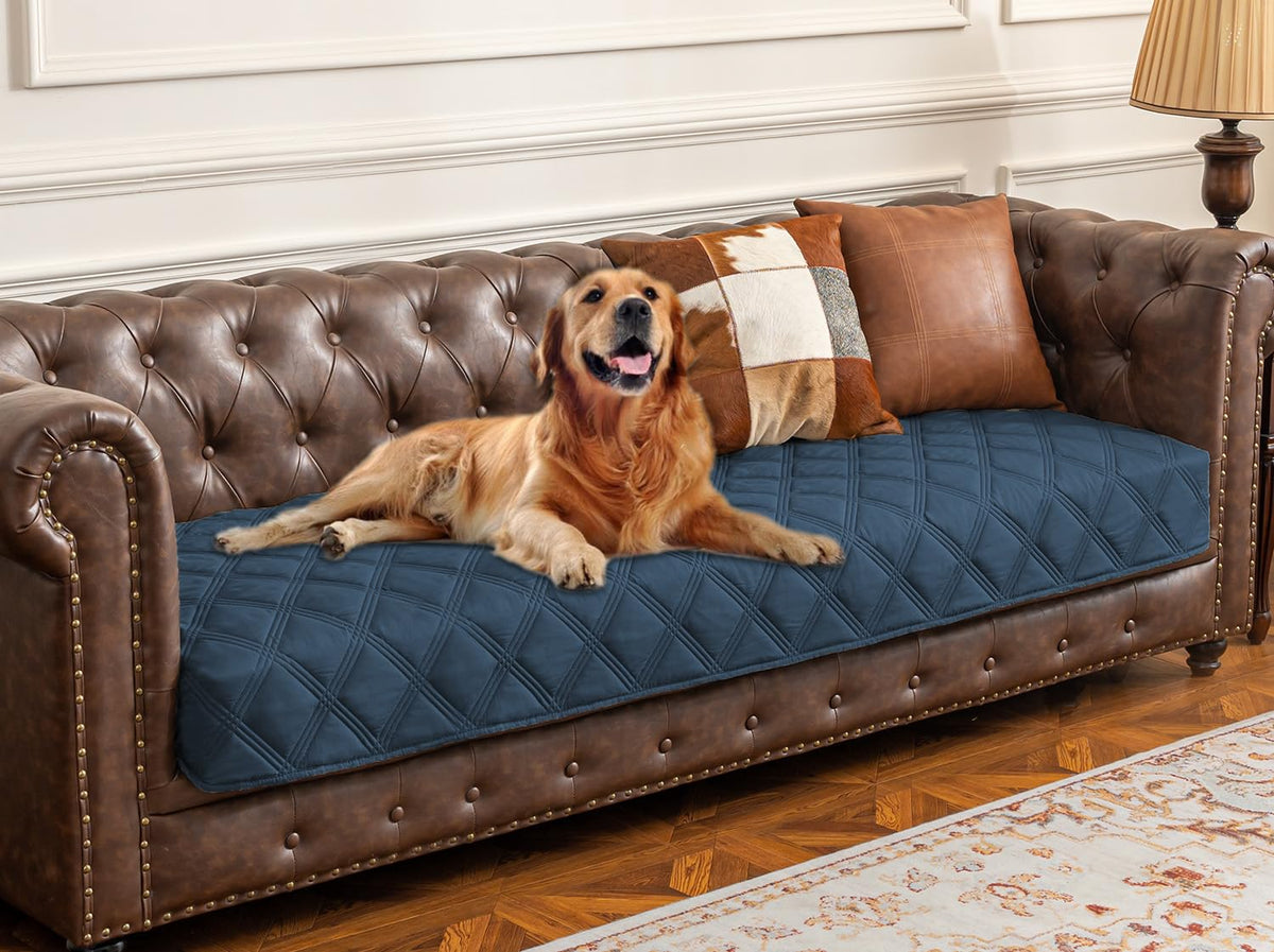 Ameritex funda impermeable para perro sobre sofá protege muebles frente a derrames