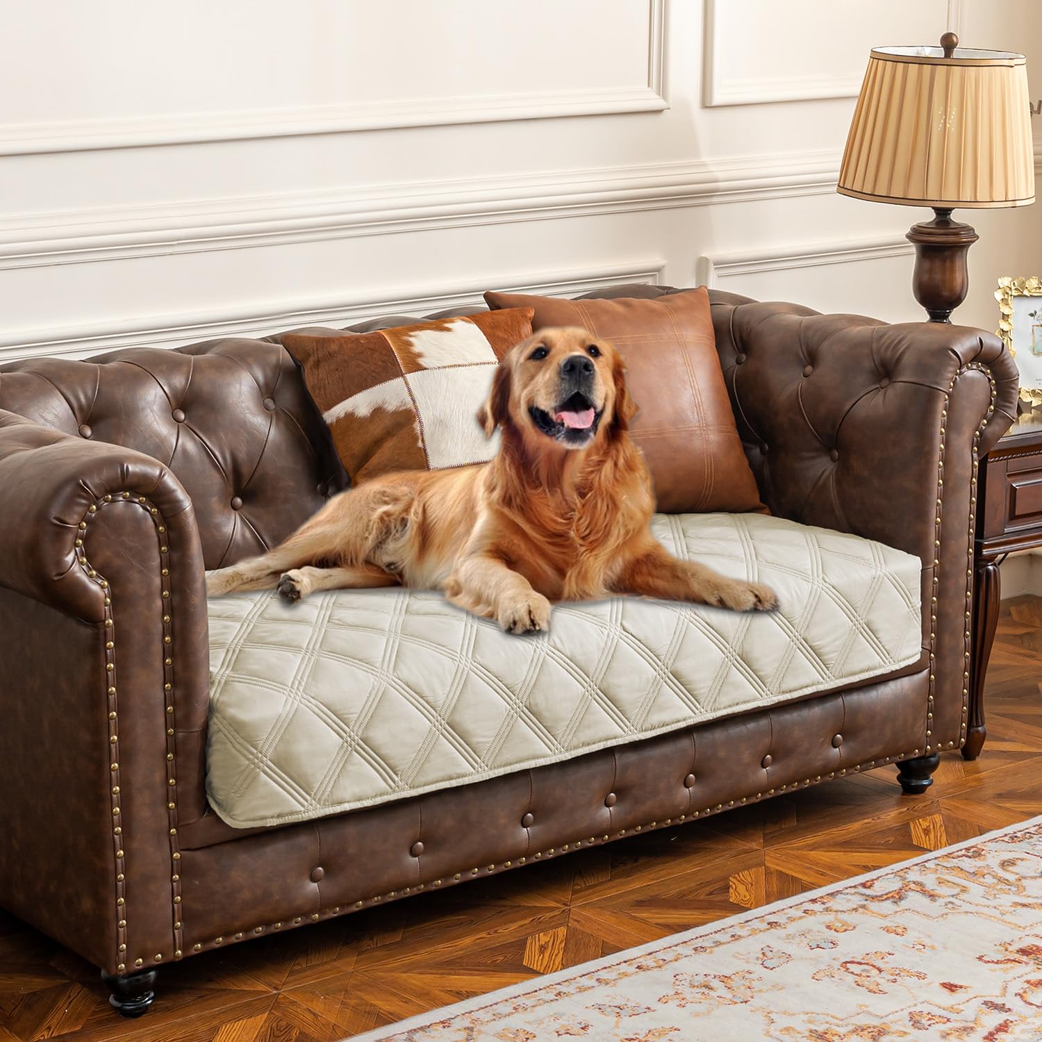 Cubierta impermeable Ameritex para perro sobre sofá, protege muebles de líquidos.