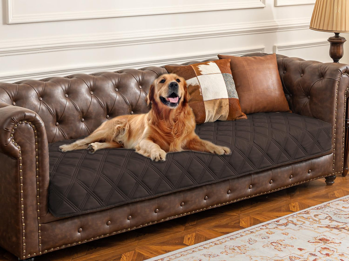 Ameritex cubre-impermeable para perro sobre sofá, protege muebles de líquidos.