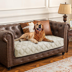 Cubierta impermeable Ameritex para perro sobre sofá, protege muebles de líquidos.
