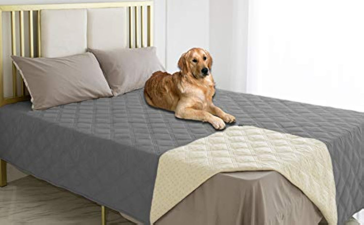 Ameritex funda impermeable para perro sobre sofá protege el mueble y facilita la limpieza.